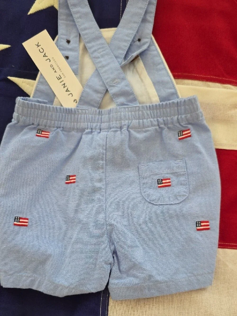 Jack by BB Dakota Light Blue Embroidered Flag Overalls